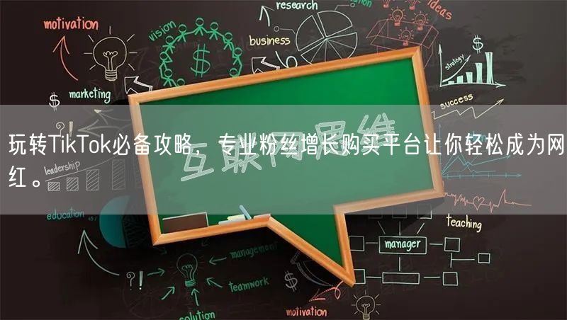 玩转TikTok必备攻略，专业粉丝增长购买平台让你轻松成为网红。