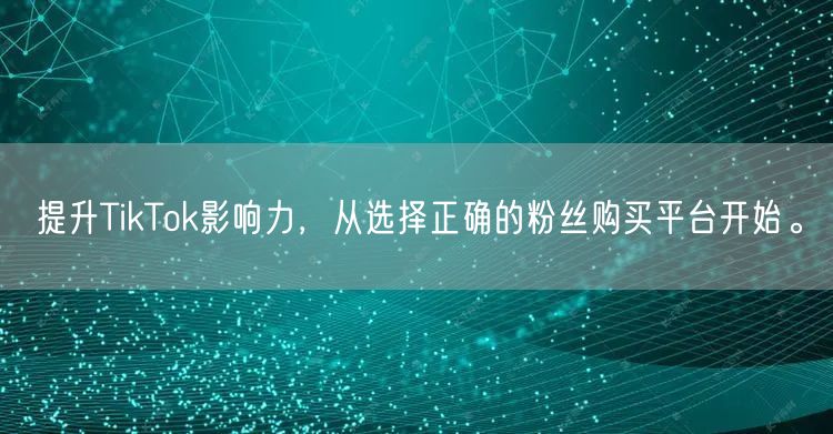 提升TikTok影响力，从选择正确的粉丝购买平台开始。
