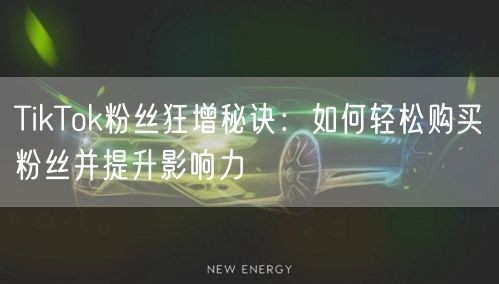 TikTok粉丝狂增秘诀：如何轻松购买粉丝并提升影响力