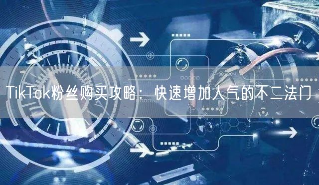 TikTok粉丝购买攻略：快速增加人气的不二法门