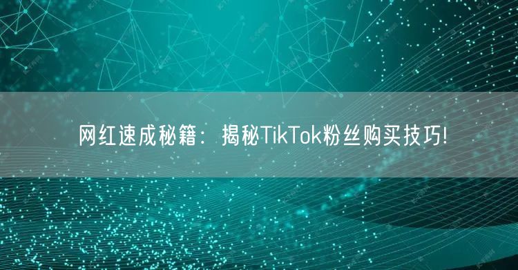 网红速成秘籍：揭秘TikTok粉丝购买技巧!