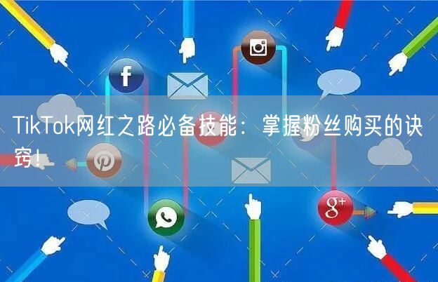 TikTok网红之路必备技能：掌握粉丝购买的诀窍！