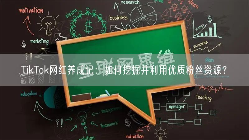 TikTok网红养成记：如何挖掘并利用优质粉丝资源？