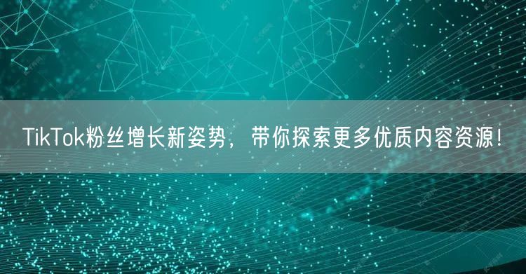 TikTok粉丝增长新姿势，带你探索更多优质内容资源！