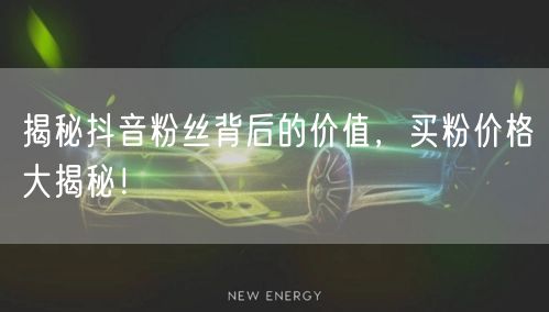 揭秘抖音粉丝背后的价值，买粉价格大揭秘！