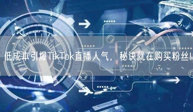 低成本引爆TikTok直播人气，秘诀就在购买粉丝!
