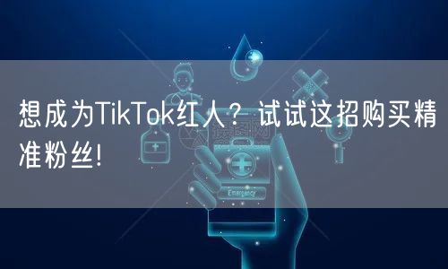 想成为TikTok红人？试试这招购买精准粉丝!