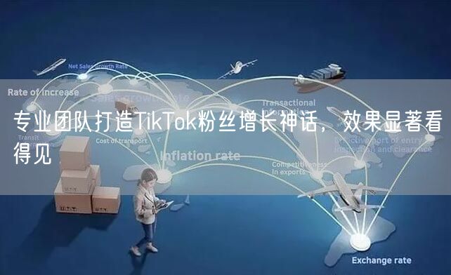 专业团队打造TikTok粉丝增长神话，效果显著看得见