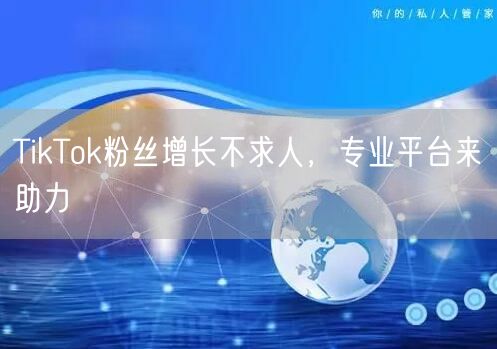 TikTok粉丝增长不求人，专业平台来助力