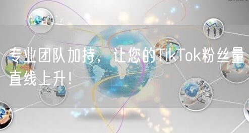 专业团队加持，让您的TikTok粉丝量直线上升！