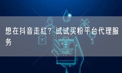 想在抖音走红？试试买粉平台代理服务