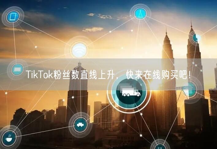 TikTok粉丝数直线上升，快来在线购买吧！