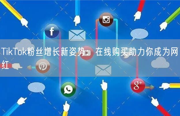 TikTok粉丝增长新姿势：在线购买助力你成为网红