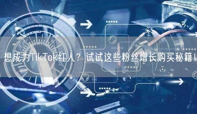 想成为TikTok红人？试试这些粉丝增长购买秘籍！
