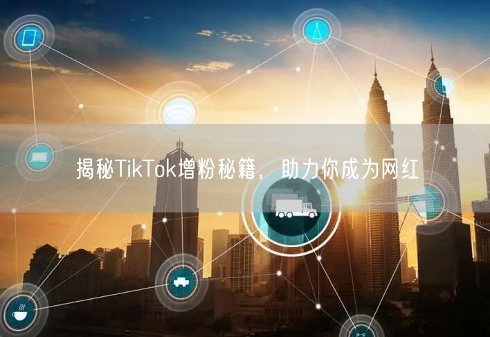 揭秘TikTok增粉秘籍，助力你成为网红