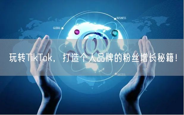 玩转TikTok，打造个人品牌的粉丝增长秘籍！