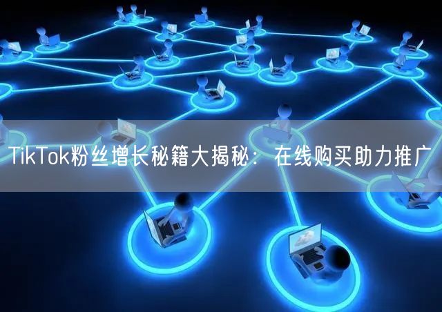 TikTok粉丝增长秘籍大揭秘：在线购买助力推广