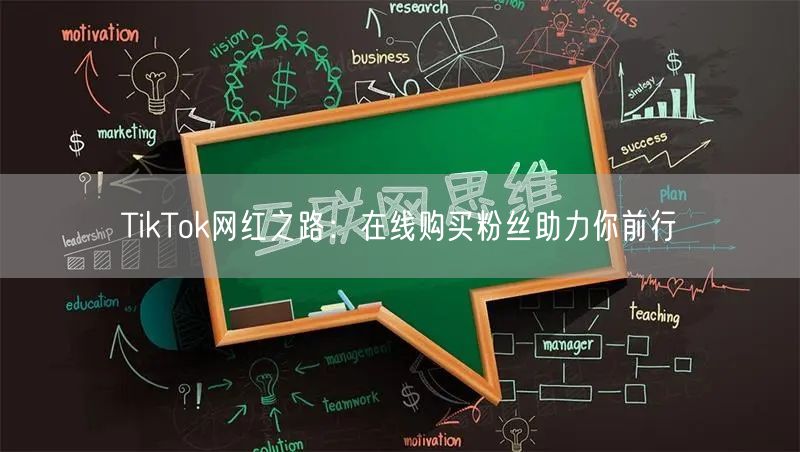 TikTok网红之路：在线购买粉丝助力你前行