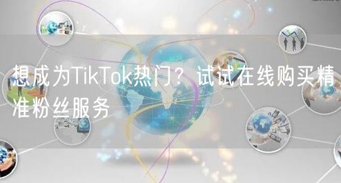 想成为TikTok热门？试试在线购买精准粉丝服务