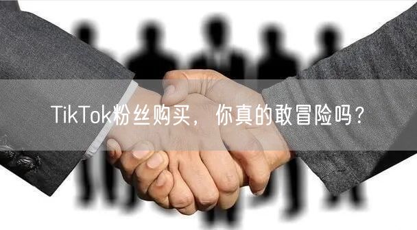 TikTok粉丝购买，你真的敢冒险吗？