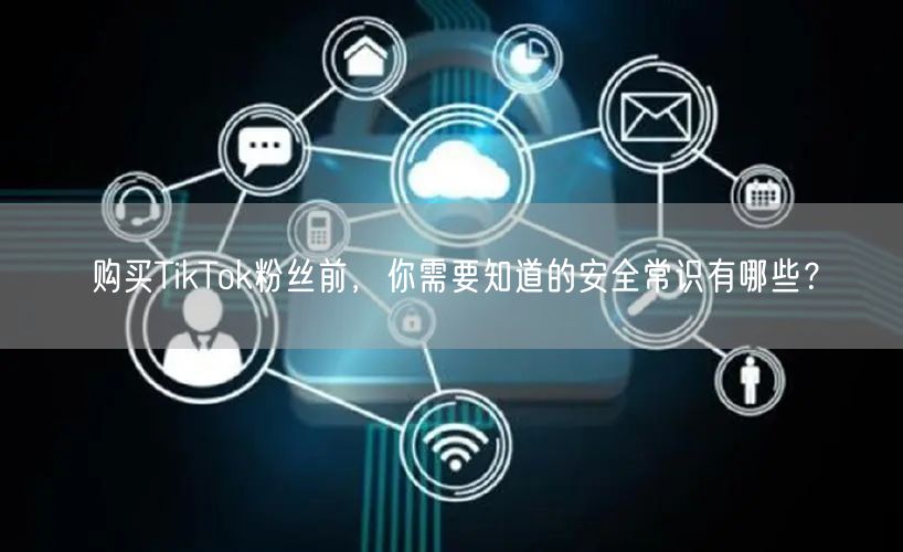 购买TikTok粉丝前，你需要知道的安全常识有哪些？