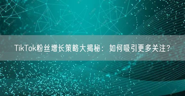 TikTok粉丝增长策略大揭秘：如何吸引更多关注？