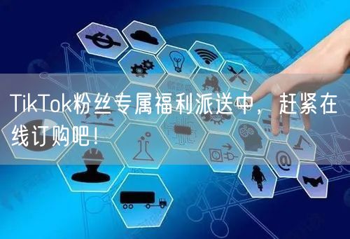 TikTok粉丝专属福利派送中，赶紧在线订购吧！