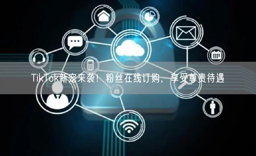TikTok新宠来袭！粉丝在线订购，享受尊贵待遇