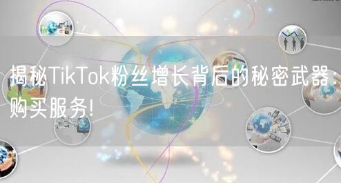 揭秘TikTok粉丝增长背后的秘密武器：购买服务!