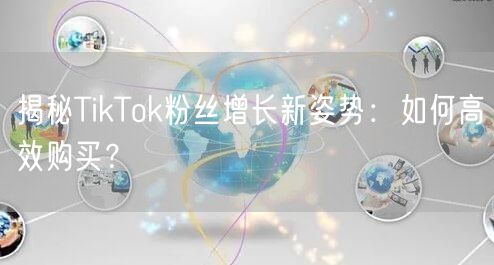 揭秘TikTok粉丝增长新姿势：如何高效购买？