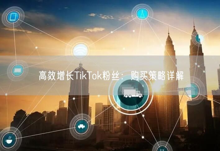 高效增长TikTok粉丝：购买策略详解