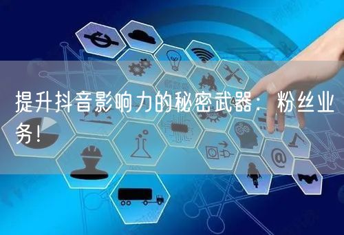 提升抖音影响力的秘密武器：粉丝业务！