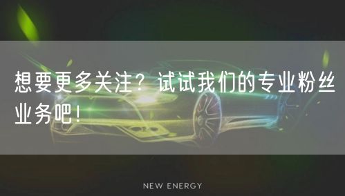 想要更多关注？试试我们的专业粉丝业务吧！