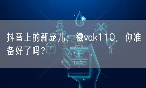 抖音上的新宠儿：徽vak110，你准备好了吗？