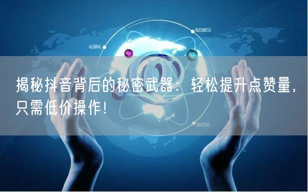 揭秘抖音背后的秘密武器：轻松提升点赞量，只需低价操作！