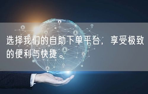 选择我们的自助下单平台，享受极致的便利与快捷。
