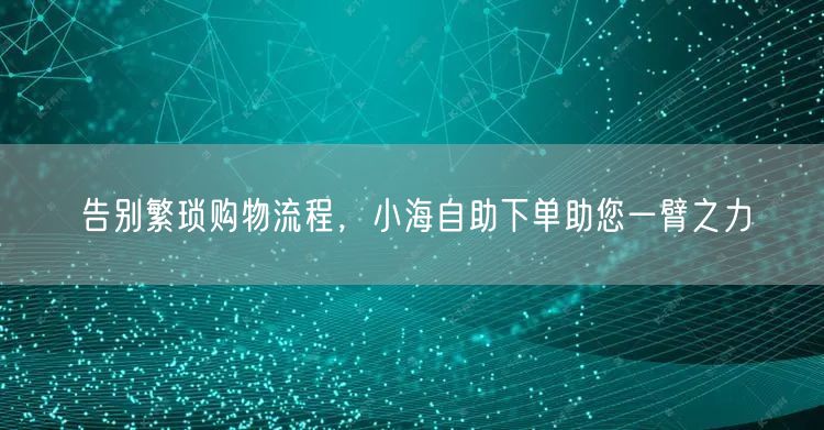 告别繁琐购物流程，小海自助下单助您一臂之力