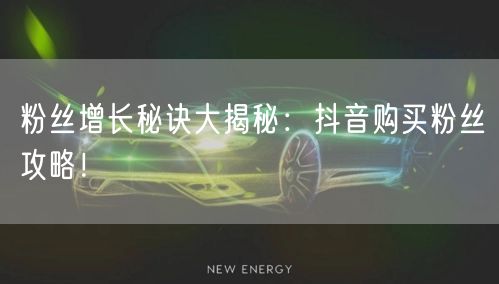 粉丝增长秘诀大揭秘：抖音购买粉丝攻略！