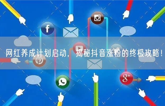网红养成计划启动，揭秘抖音涨粉的终极攻略！