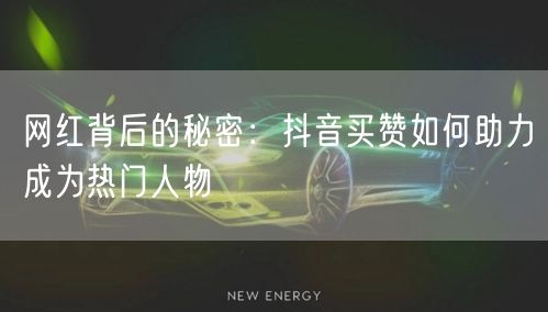 网红背后的秘密：抖音买赞如何助力成为热门人物