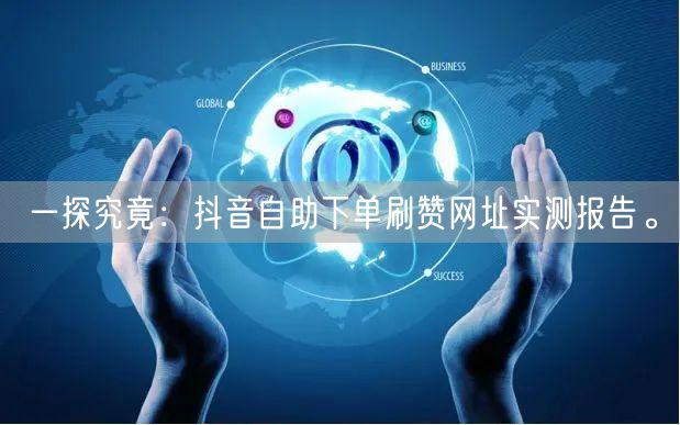 一探究竟：抖音自助下单刷赞网址实测报告。