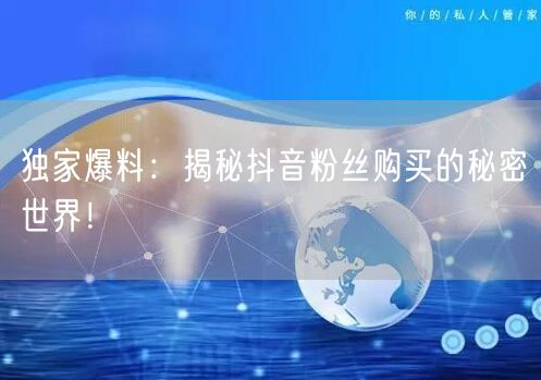 独家爆料：揭秘抖音粉丝购买的秘密世界！