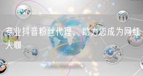 专业抖音粉丝代理，助力您成为网红大咖
