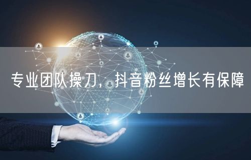 专业团队操刀，抖音粉丝增长有保障
