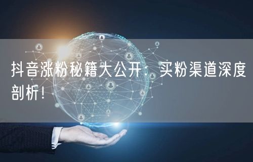 抖音涨粉秘籍大公开：买粉渠道深度剖析！