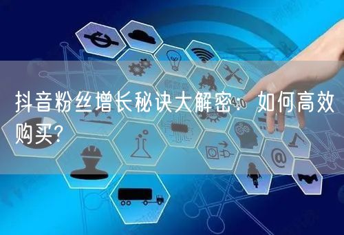 抖音粉丝增长秘诀大解密：如何高效购买?