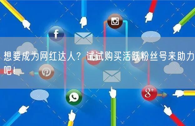 想要成为网红达人？试试购买活跃粉丝号来助力吧！