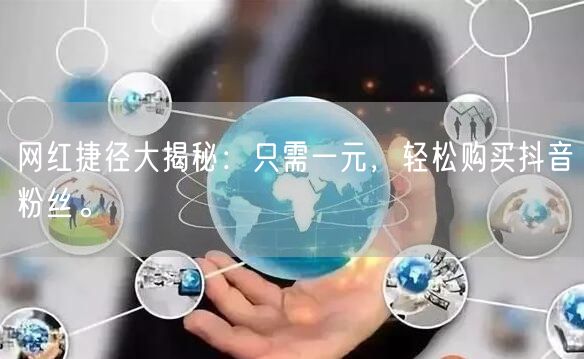 网红捷径大揭秘：只需一元，轻松购买抖音粉丝。