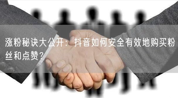 涨粉秘诀大公开：抖音如何安全有效地购买粉丝和点赞？
