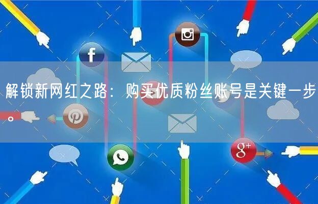 解锁新网红之路：购买优质粉丝账号是关键一步。